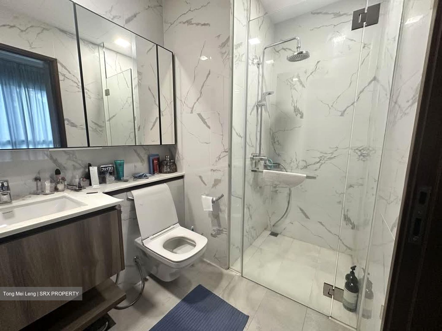Lattice One (D20), Apartment #571866711
